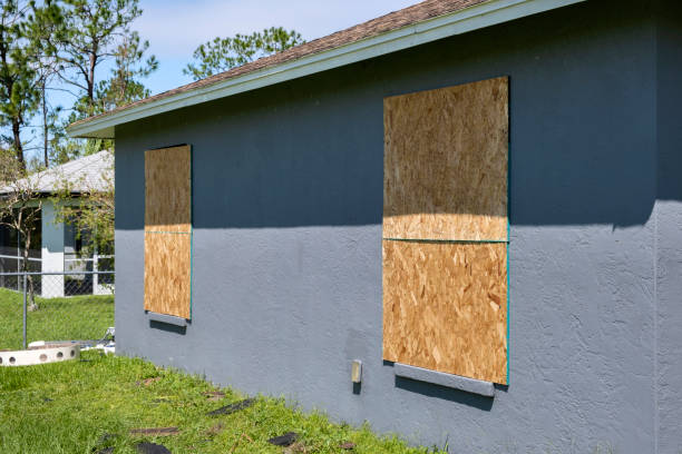 Best Siding Removal and Disposal  in Capac, MI